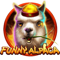  Funny Alpaca